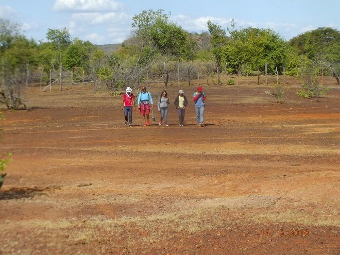 Vem ai... O Morro Assombrado. - Imagem 44
