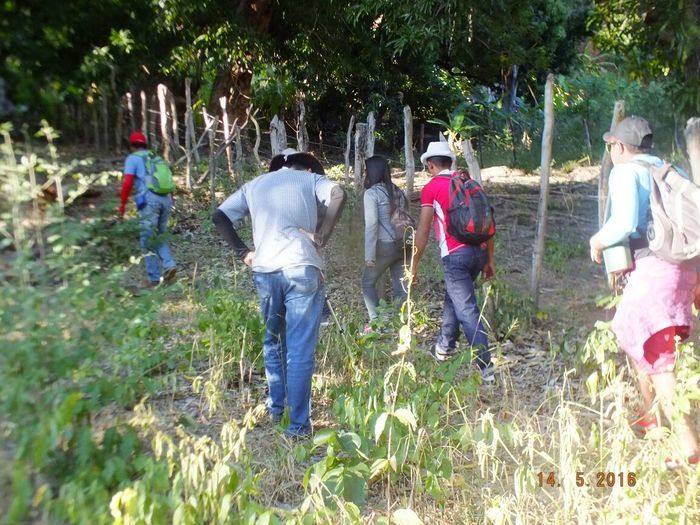 Vem ai... O Morro Assombrado. - Imagem 58