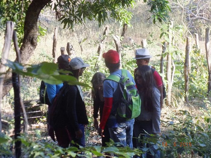 Vem ai... O Morro Assombrado. - Imagem 59