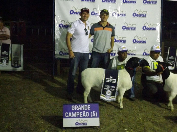 Mais um sucesso consolida de vez a EXPOEIRAS - Imagem 52