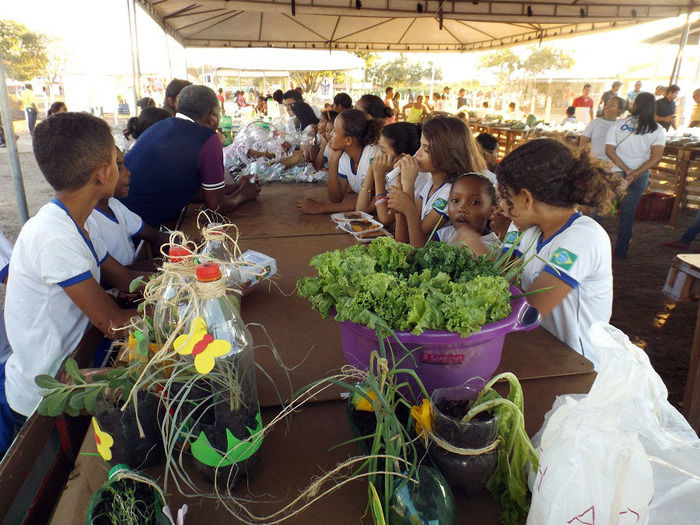 Mais um sucesso consolida de vez a EXPOEIRAS - Imagem 29