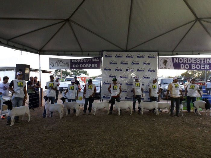 Mais um sucesso consolida de vez a EXPOEIRAS - Imagem 14