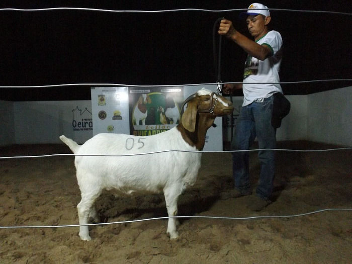 Mais um sucesso consolida de vez a EXPOEIRAS - Imagem 38
