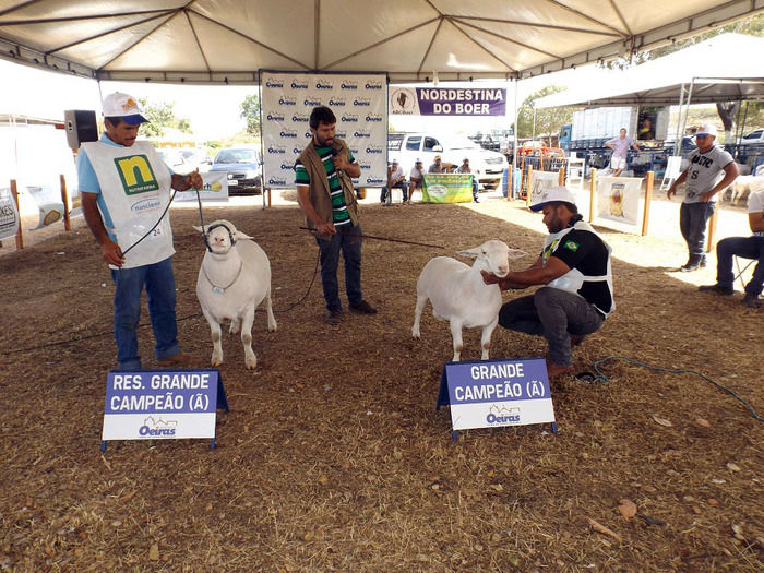 Mais um sucesso consolida de vez a EXPOEIRAS - Imagem 4