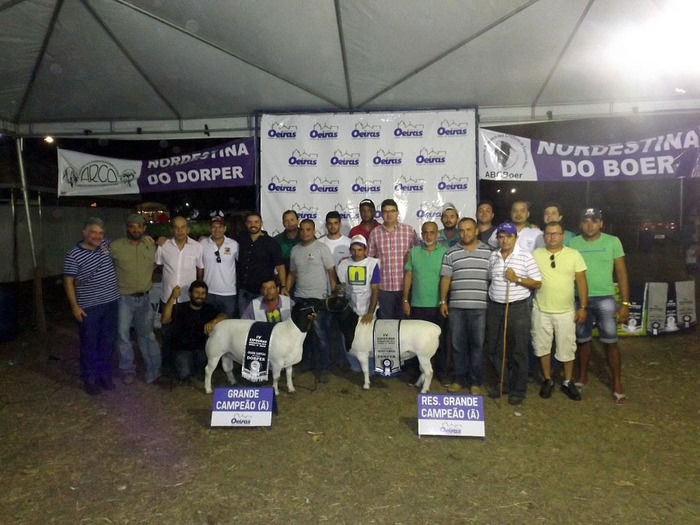 Mais um sucesso consolida de vez a EXPOEIRAS - Imagem 54