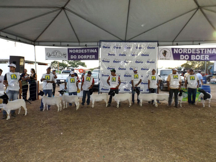 Mais um sucesso consolida de vez a EXPOEIRAS - Imagem 15