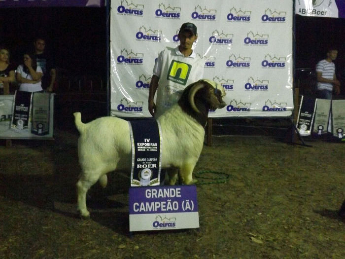 Mais um sucesso consolida de vez a EXPOEIRAS - Imagem 51