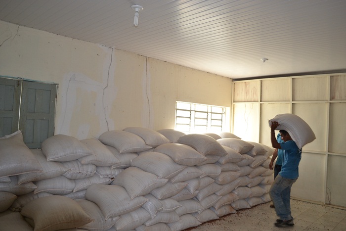 Toneladas de feijão serão distribuídas em Pedro II - Imagem 5