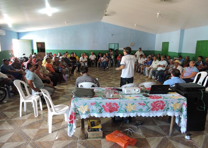 Perdas agrícolas ultrapassam os 70% em Pedro II  - Imagem 7