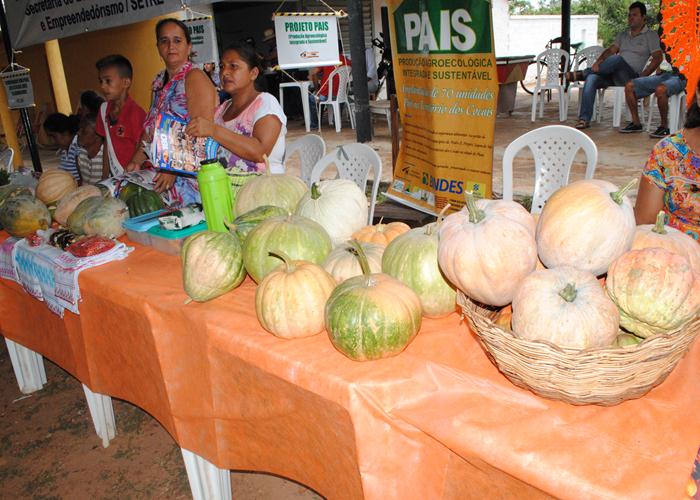 Feira da Economia Solidária atrai grande público  - Imagem 12