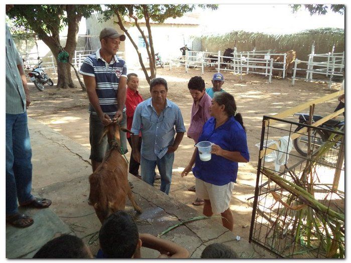 Comunidade inhumense comemora o aniversário da Cidade - Imagem 19