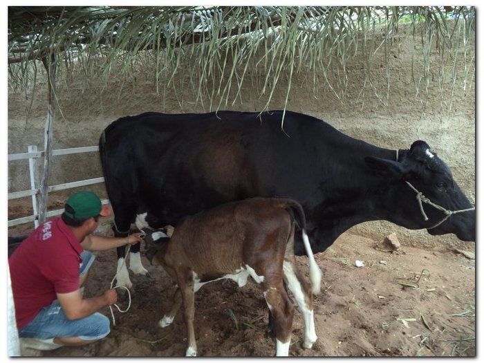 Comunidade inhumense comemora o aniversário da Cidade - Imagem 12