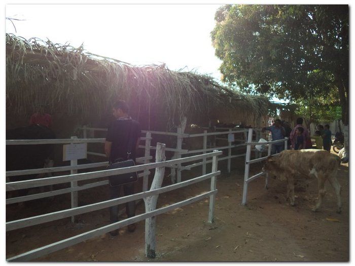 Comunidade inhumense comemora o aniversário da Cidade - Imagem 14