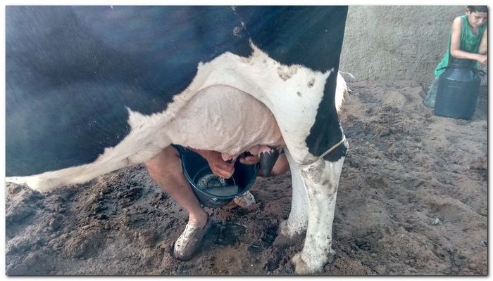 População de Inhuma festeja 62º aniversário da cidade - Imagem 23