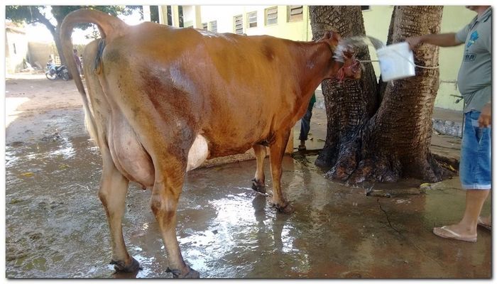 População de Inhuma festeja 62º aniversário da cidade - Imagem 11