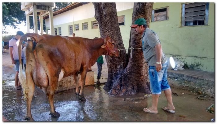 População de Inhuma festeja 62º aniversário da cidade - Imagem 12