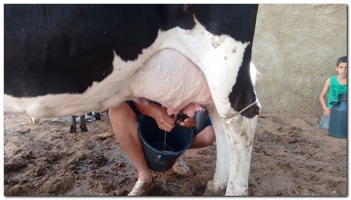 População de Inhuma festeja 62º aniversário da cidade - Imagem 24