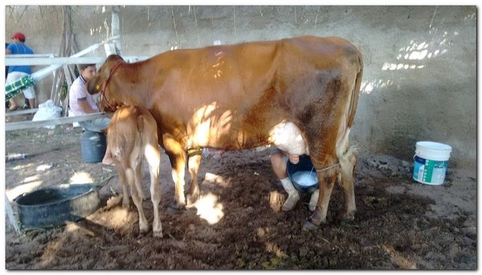 População de Inhuma festeja 62º aniversário da cidade - Imagem 21