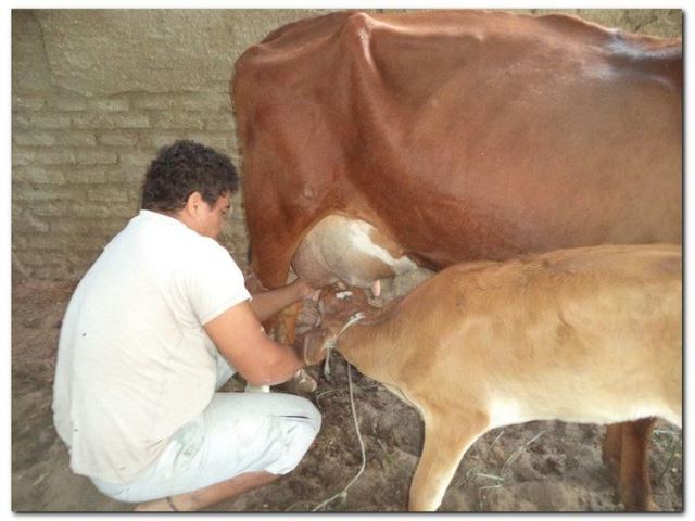 População de Inhuma festeja 62º aniversário da cidade - Imagem 77