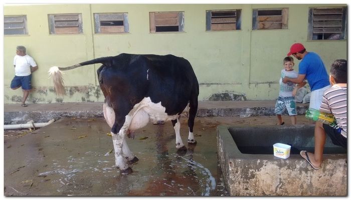 População de Inhuma festeja 62º aniversário da cidade - Imagem 20