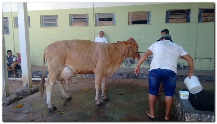 População de Inhuma festeja 62º aniversário da cidade - Imagem 15