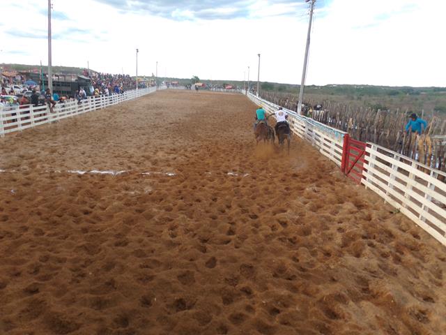 Vaquejada de Pimenteiras foi um sucesso. Confira as fotos    - Imagem 77