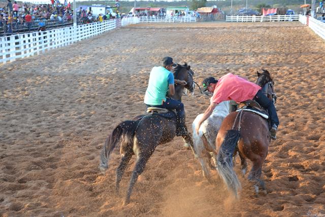 Vaquejada de Pimenteiras foi um sucesso. Confira as fotos    - Imagem 3