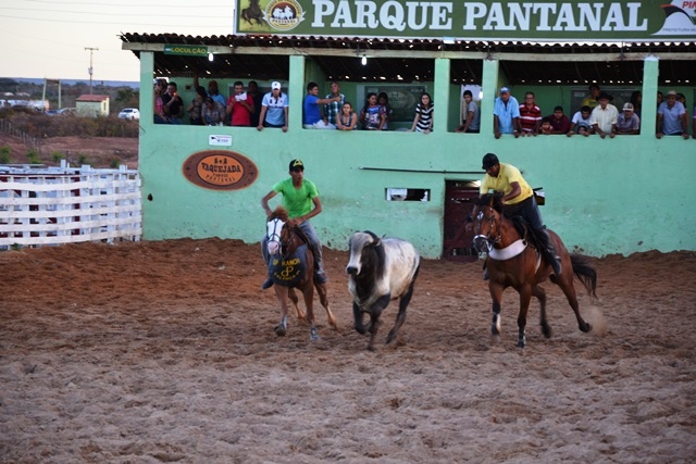 Vaquejada de Pimenteiras foi um sucesso. Confira as fotos    - Imagem 6