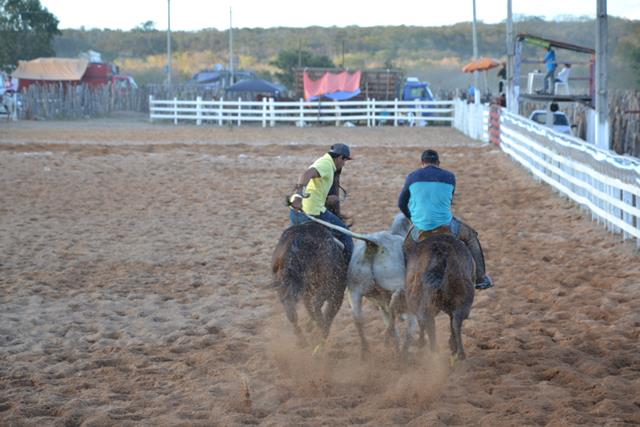 Vaquejada de Pimenteiras foi um sucesso. Confira as fotos    - Imagem 2