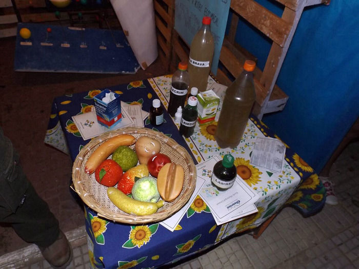 Projeto Educanvisa promove saúde nas escolas de Oeiras - Imagem 15