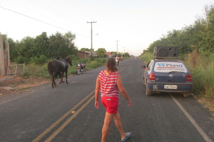 11 de Junho será a Tradicional Corrida de Cavalos em Pitombeira  - Imagem 5
