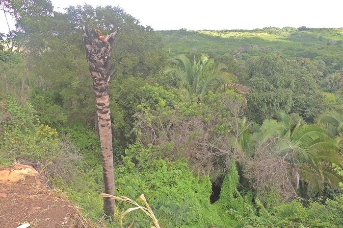 Imóvel com amplo terreno à venda no Bairro Santa Fé - Imagem 18