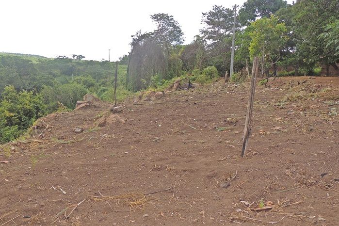 Imóvel com amplo terreno à venda no Bairro Santa Fé - Imagem 21