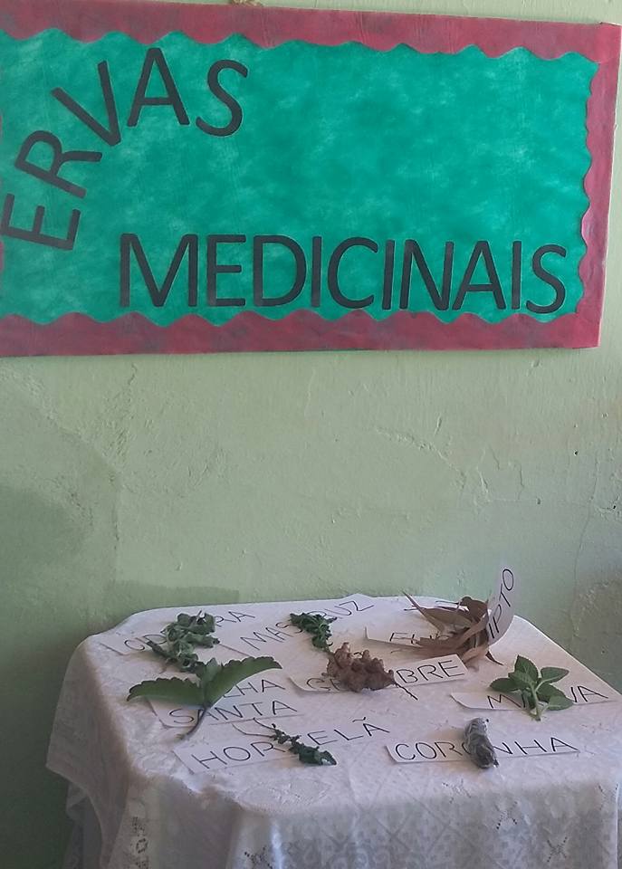 Escolas desenvolvem Projetos na zona rural. - Imagem 14