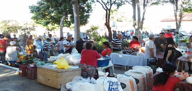 Feira de Agricultura Familiar na Praça do Curumim em Piripiri