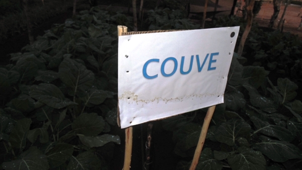 Feira agrícola é realizada com sucesso em Santo Inácio  - Imagem 19