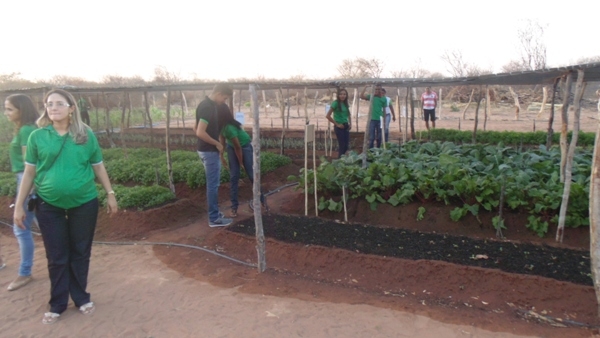 Feira agrícola é realizada com sucesso em Santo Inácio  - Imagem 11