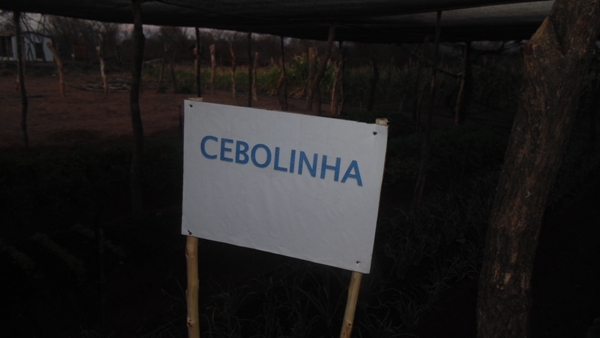 Feira agrícola é realizada com sucesso em Santo Inácio  - Imagem 18