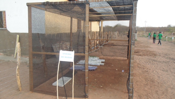 Feira agrícola é realizada com sucesso em Santo Inácio  - Imagem 9