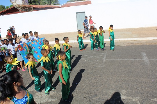 Sustentabilidade, Tema do sete de Setembro em São João da Varjota - Imagem 28