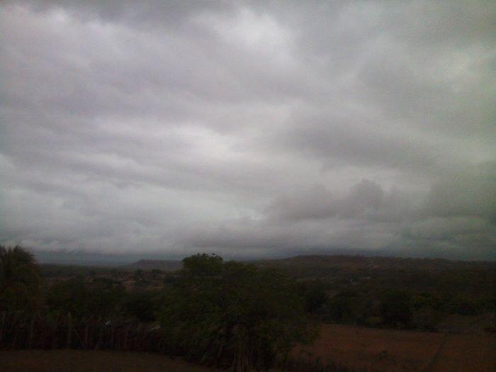 Prefeitura começa aração de terras para produtores rurais - Imagem 2