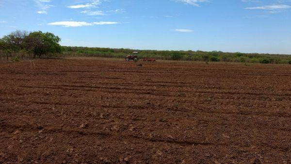 Prefeitura começa aração de terras para produtores rurais - Imagem 13