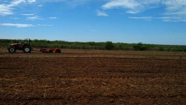 Prefeitura começa aração de terras para produtores rurais - Imagem 14
