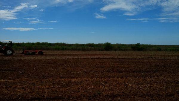 Prefeitura começa aração de terras para produtores rurais - Imagem 12
