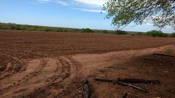 Prefeitura começa aração de terras para produtores rurais - Imagem 11