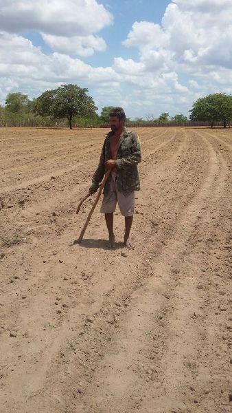 Prefeitura começa aração de terras para produtores rurais - Imagem 5