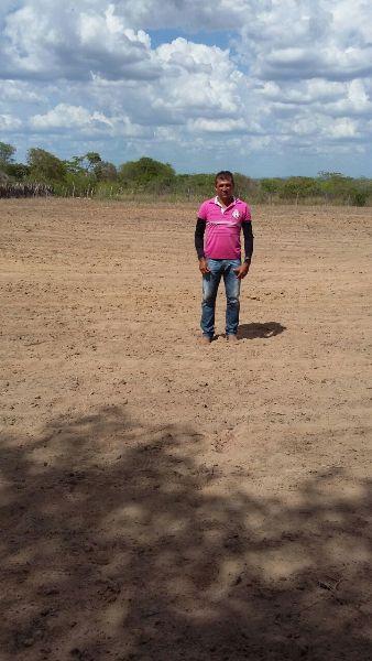 Prefeitura começa aração de terras para produtores rurais - Imagem 6