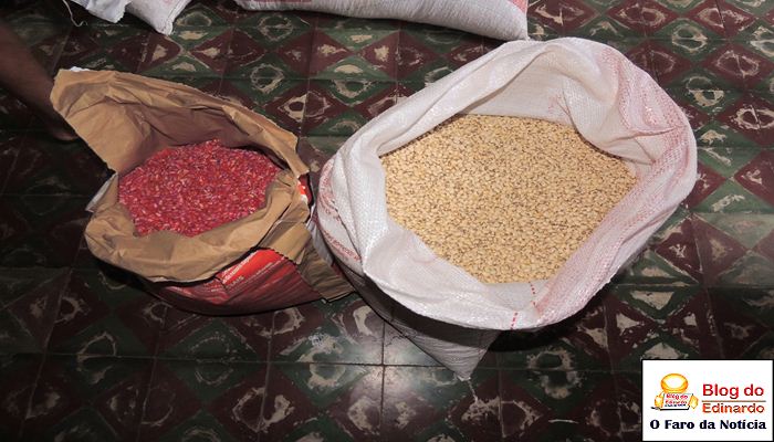 Chega em Pedro II as sementes de milho e feijão  - Imagem 5