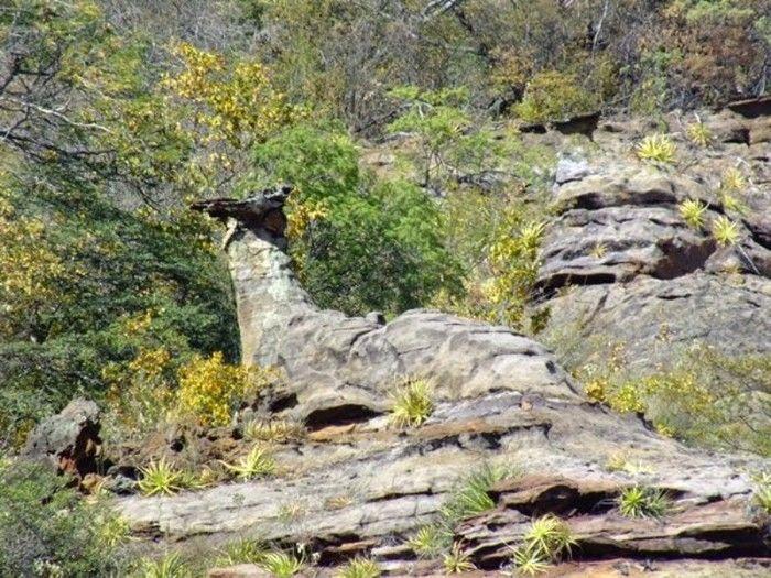 Fundação Benilde Vasconcelos promove palestra sobre turismo em DEL - Imagem 45