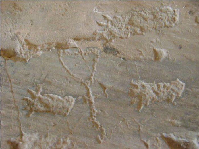 Fundação Benilde Vasconcelos promove palestra sobre turismo em DEL - Imagem 20